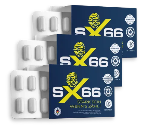 SX66 product
